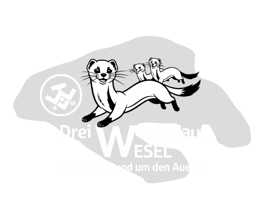 Dreiwiesellauf